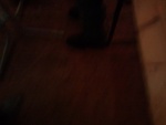 img_20120511_221703.jpg