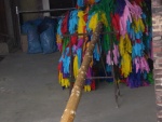 CIMG0961.JPG