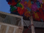 CIMG0987.JPG