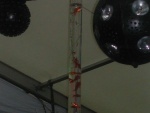 picture-0003.jpg