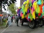 picture-0035.jpg