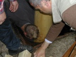 picture-0044.jpg