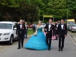 FestzugMerode19.jpg