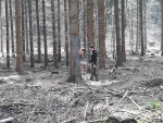 20180414_114641.jpg