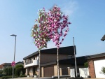 IMG-20190501-WA0003.jpg
