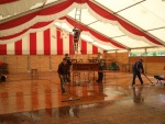 img_20120512_105819.jpg