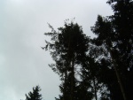 DSCF0066.JPG