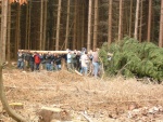 DSCF0093.JPG