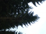 DSCF0110.JPG
