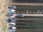 DSCF0111.JPG