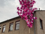 Bild10.jpg