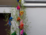 Bild23.jpg