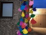 Bild58.jpg