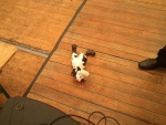 img_20120513_135710.jpg