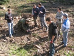 picture-0010.jpg