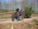 picture-0019.jpg