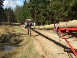 20130420_113630.jpg