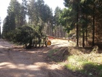 20130420_113657.jpg