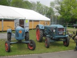picture-0021.jpg