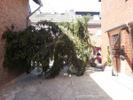 20130420_140014.jpg