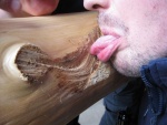 picture-0011.jpg