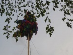 picture-0096.jpg