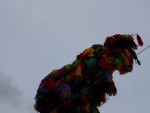 picture-0132.jpg
