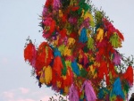 picture-0186.jpg