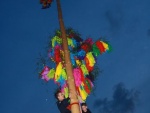 picture-0208.jpg