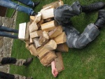 picture-0256.jpg