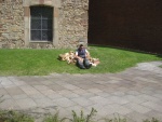 picture-0266.jpg