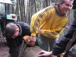 picture-0030.jpg