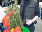 picture-0033.jpg