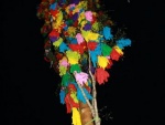 picture-0112.jpg