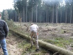 img_1630.jpg