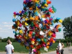 picture-0104.jpg