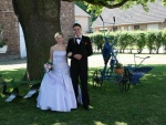 picture-0113.jpg