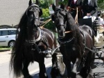 picture-0115.jpg