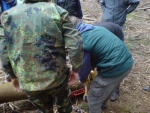 picture-0011.jpg