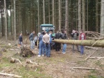 picture-0013.jpg