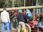 img_1657.jpg
