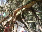 img_1663.jpg