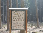 img_1670.jpg