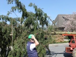 img_1743.jpg