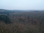 laufenburg2016_019.jpg