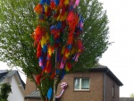 mainacht2016_108.jpg