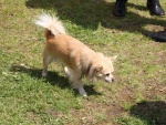 IMG_6191-xl.JPG