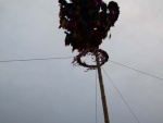 img_1692.jpg