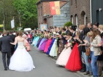 IMG_5348-xl.JPG