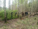 IMG-20170422-WA0017.jpg
